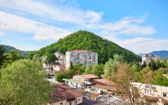 Uyutnaya Studiya s Vidom na Gory Apartment