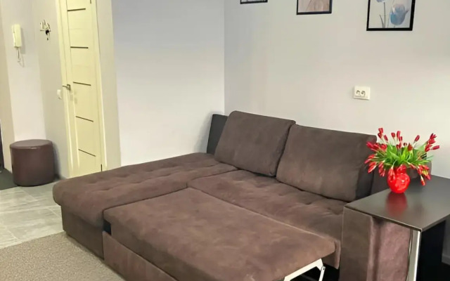 Uyutnaya Prostornaya Yevrodvushka S Vidom Na Goru Flat