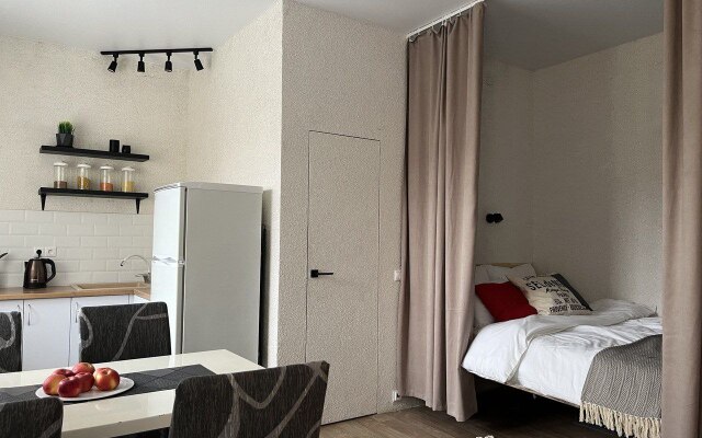 Апартаменты Студия у Кинотеатра Спартак