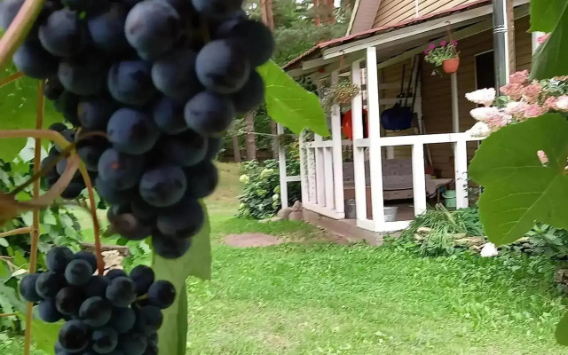 Дом у сосен