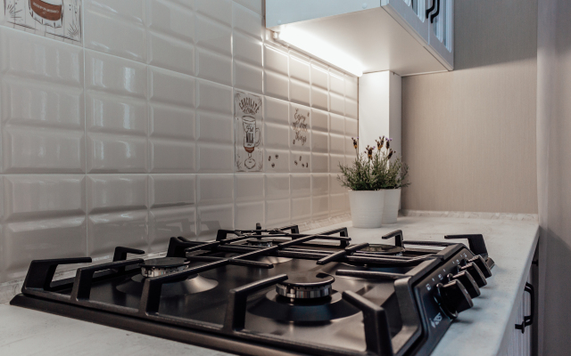 Two-room apartment at Rossgarten Gate