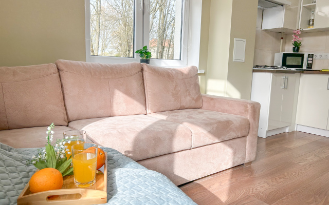 Апартаменты Balt-Apartments Pionerskii 1