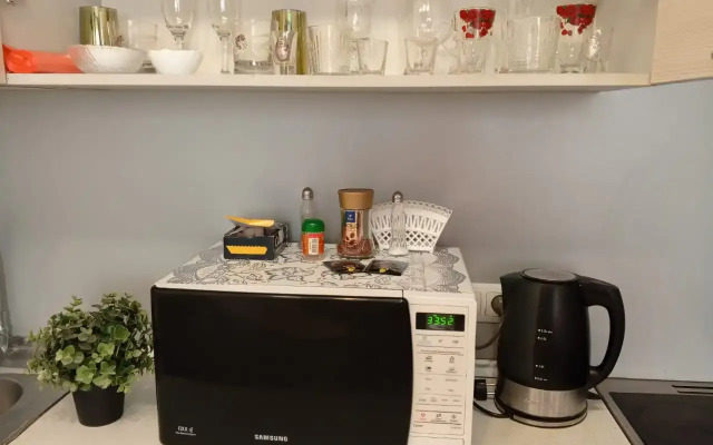 Uyutnaya Studiya Flat