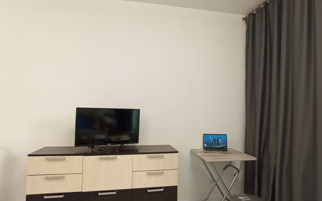Studiya Pervaya Na Neve V Gorode Pervykh Flat