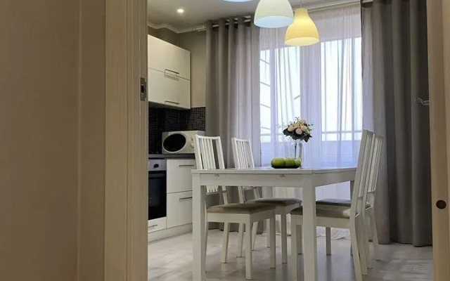 Квартира на Чкалова 65 (2/11)