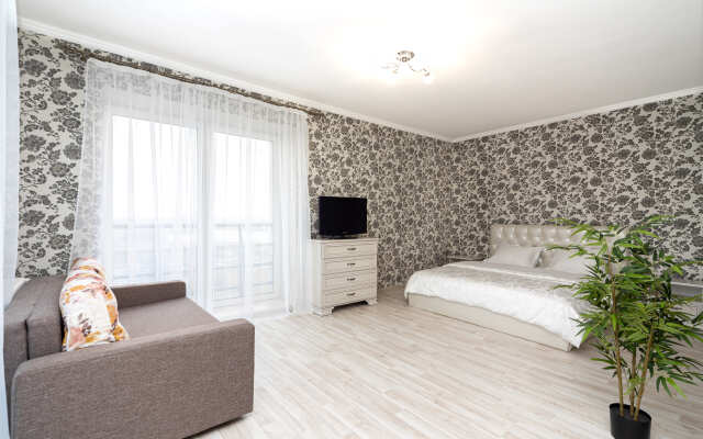 Ogromnaya Studiya Na Myastrovskoy Apartments