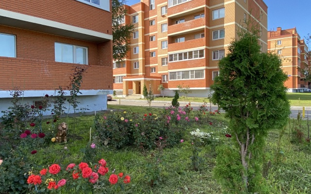 Atmosfera leta Flat