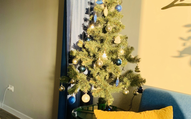 Апартаменты Argentum Home Дудинская 2В