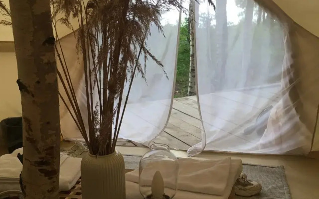 Bereg Grifona Camping