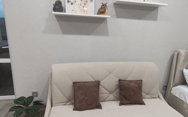 Квартира с Видом на Волгу в Центре Города