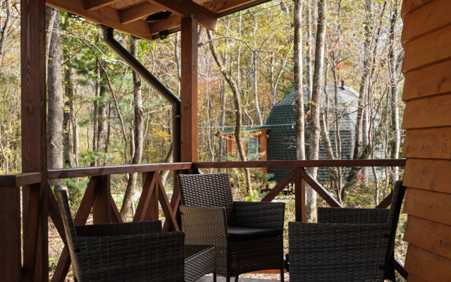 Частный дом сфера у Пидана