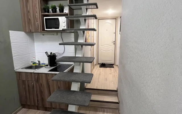 V Tsentre Apartments