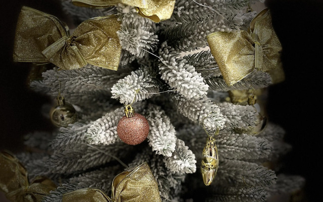 Квартира Дэвида Копперфильда