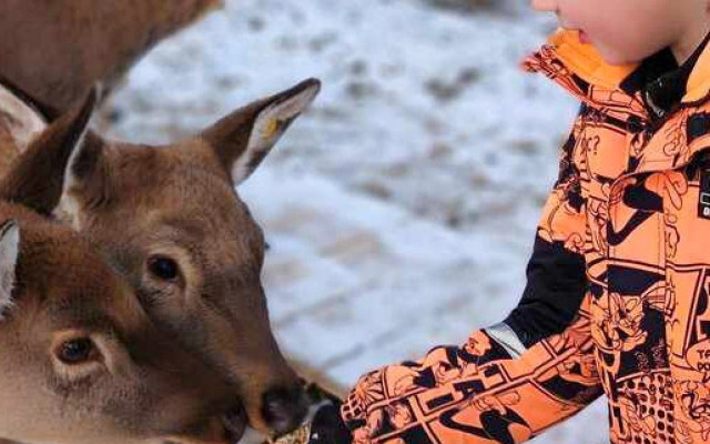 Гостевой дом Бэмби Лэнд