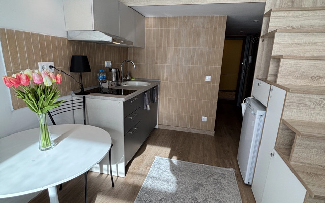 V tsentre Kazani Flat