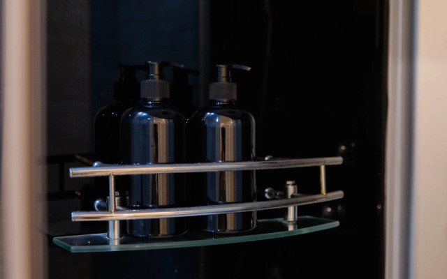 Апартаменты RentPlaza Shauma