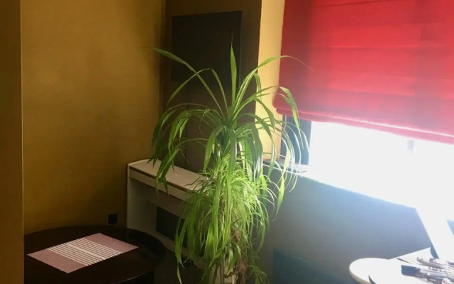 Апартаменты Risingsun 204