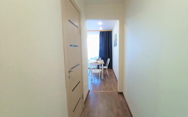 One-room RusDom near the recreation center Rodina Apartments