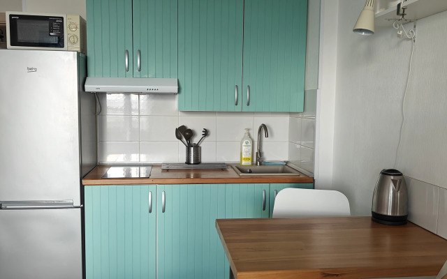 Студия Flamingo метро Ладожская