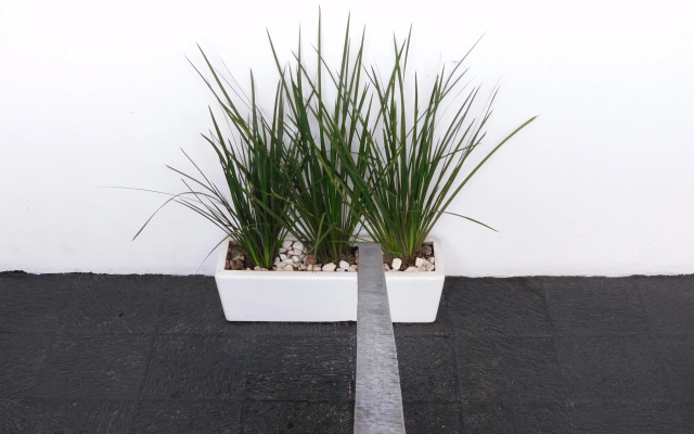 Отель Casa de los Artistas Boutique Rotamundos