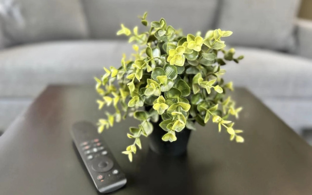 Аппартаменты на Коммунистической 26-2