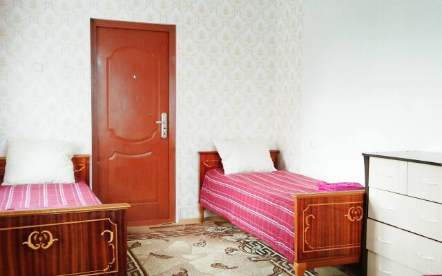 Kryshi Parizha Flat