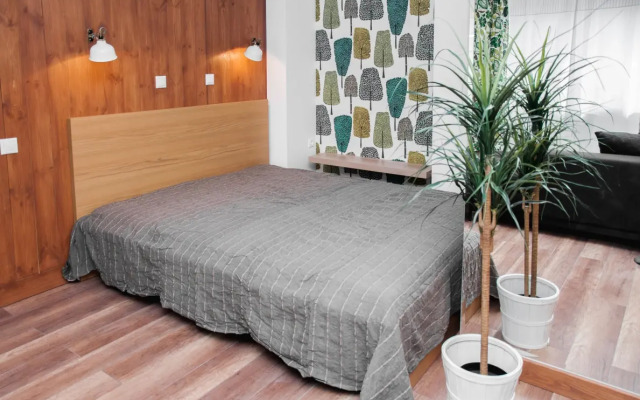 Pskov Design Flat 3
