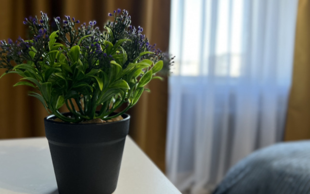 Квартира на Красном проспекте, 70