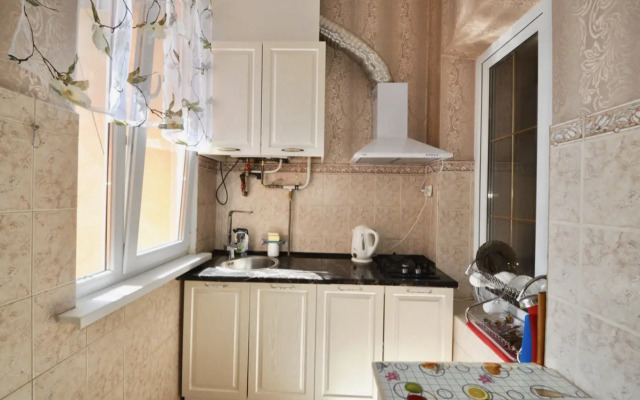Na Ulitse Tolstogo 1 Apartments