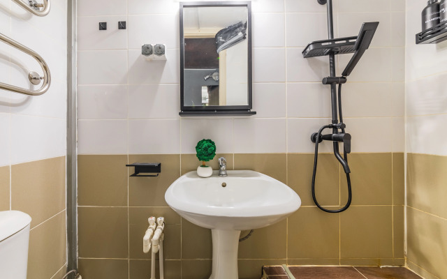 Апартаменты Plaum Hotel Студия 6 на Коломенской