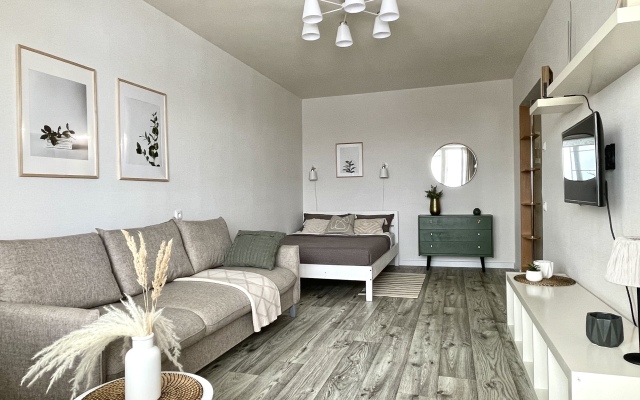 Апартаменты на Древлянке Лососинское шоссе