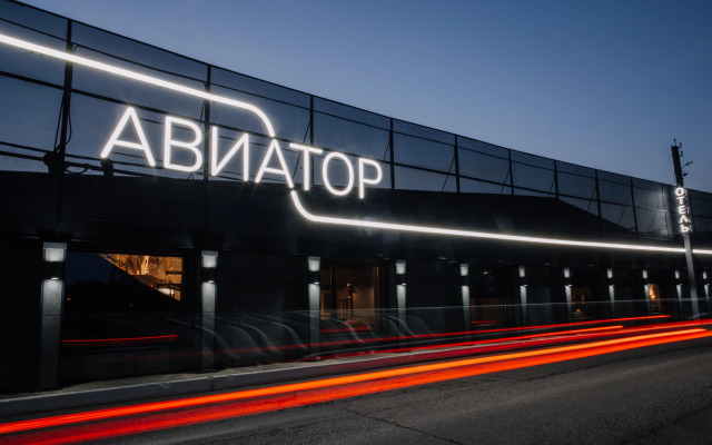 Hotel Aviator Sheremetyevo