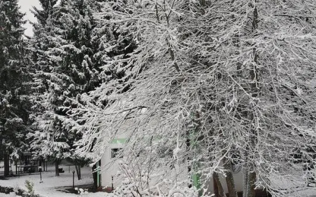 Частный Дом на Учаcткe 61 Соткa