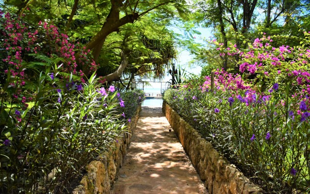 Mediterraneo Hotel
