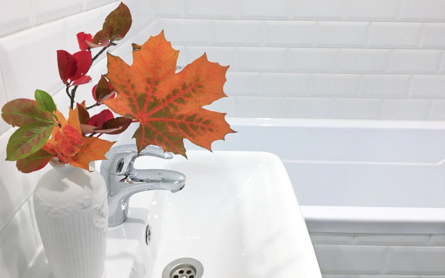 Студия с балконом Карельский Лось