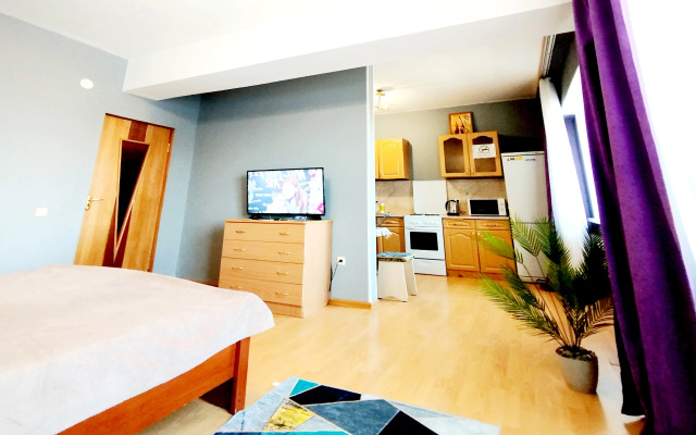 Studiya v tsentre Irkutska Flat