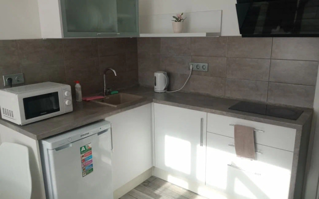 Studio Minimal Na Lisitsyna 57 Apartments