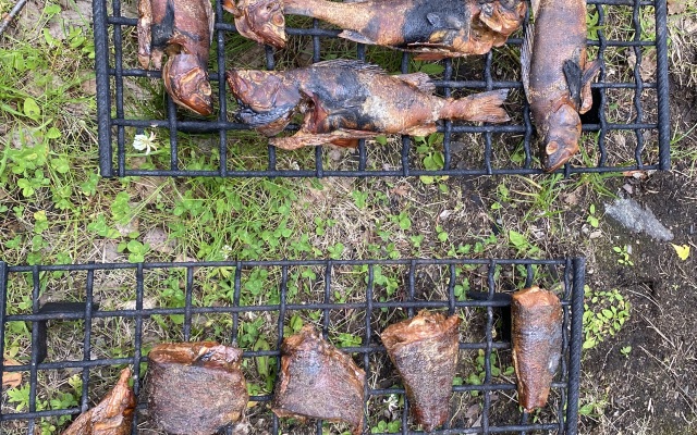 База Отдыха На Рыбалку