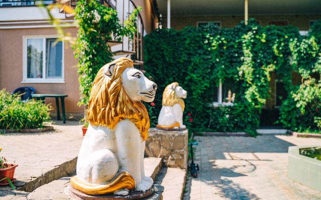 Lion Guest House