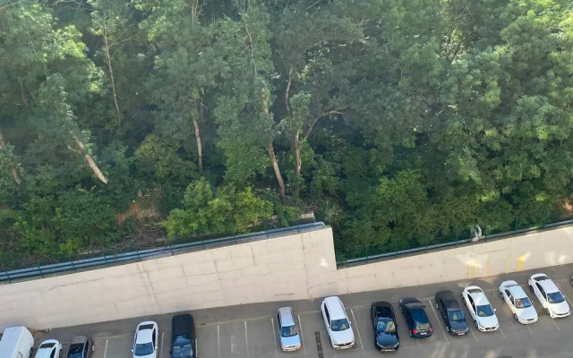 Квартира в Центре Города