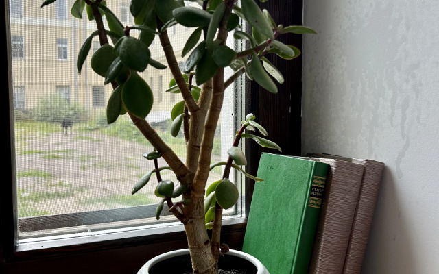 Апартаменты Уютные студия в центре города