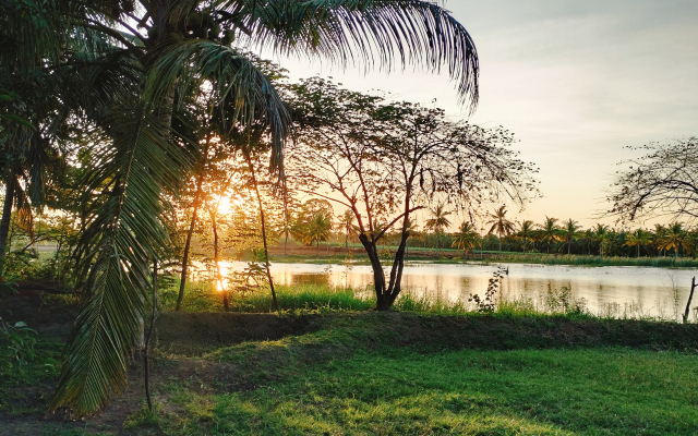 Harmony Haven in Udawalawe Glamping