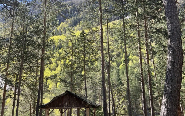 Alatau Guest House