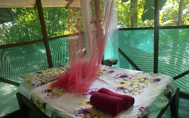 RioAgujitasEcoFarmandTours Hostel