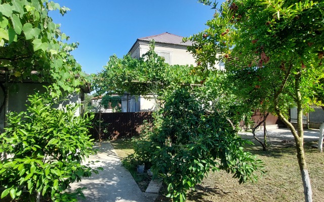 Kemal Private House