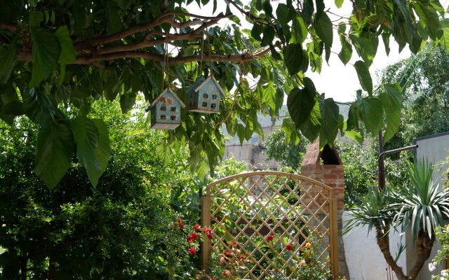 My Garden Guest House