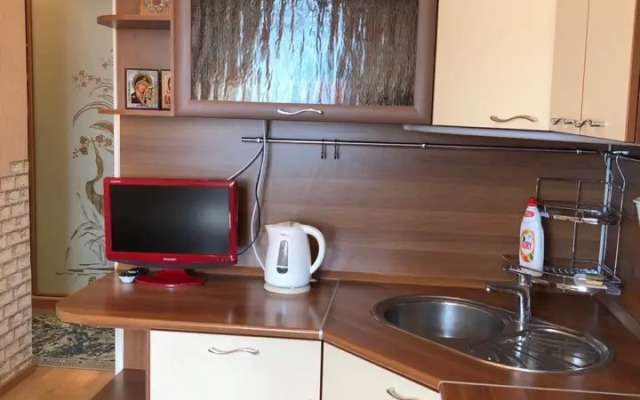 Апартаменты Ленина 50