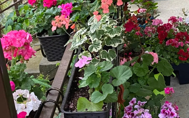 Квартира Студия Комфорт