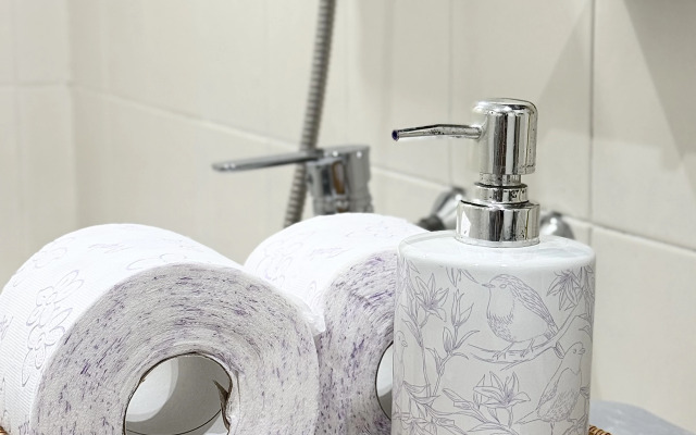 Квартира Уютная трехместная студия в центре Владикавказа