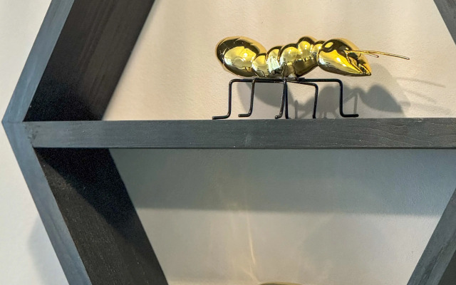 V Zhk Skazkagrad Flat